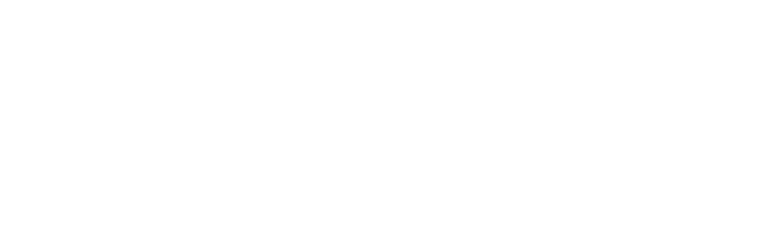 Carroll Analytics Group